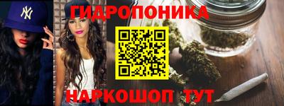 apvp Лесосибирск