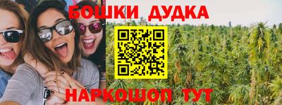 apvp Лесосибирск