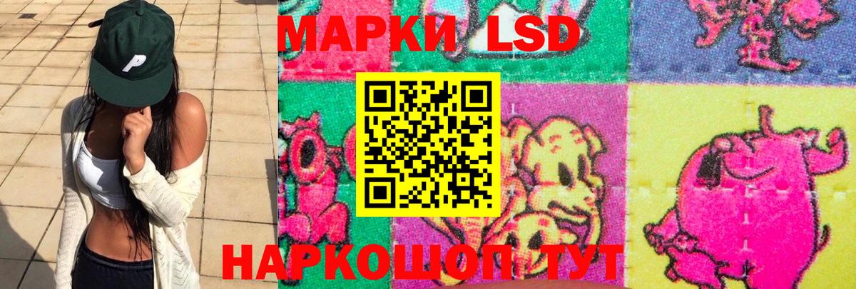 Заречный  ЛСД экстази ecstasy  ЛСД экстази кислота  Вход с VPN 