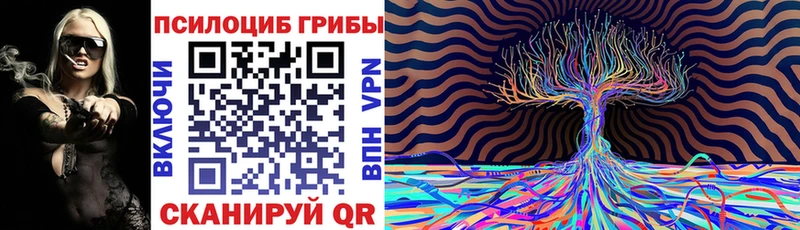 Галлюциногенные грибы ЛСД  цена   Заречный 