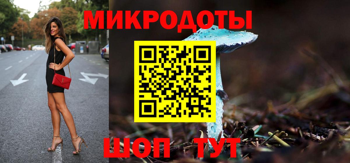 Псилоцибиновые грибы Psilocybe  Вход с VPN  наркота  Заречный 