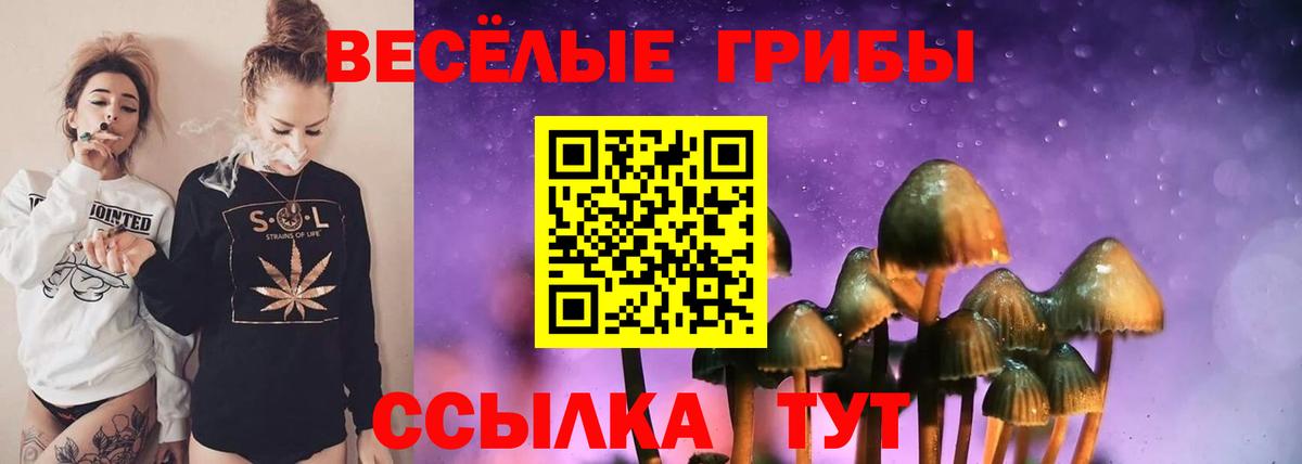 Псилоцибиновые грибы прущие грибы Заречный